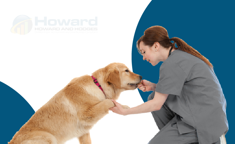 Accounting Services for Veterinary