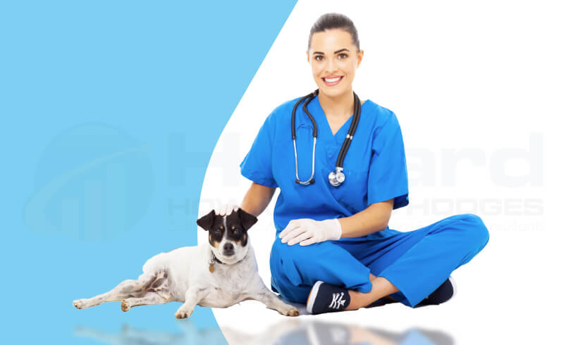 Accounting for Veterinary Practices